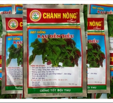 địa chỉ phân phối hạt giống rau ăn lá