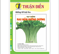 nguồn bán sỉ hạt giống rau mầm chất lượng