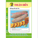 HẠT GIỐNG BÍ ĐỎ TRÁI DÀI OP (BÍ SÁP) THUẬN ĐIỀN