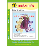 Hạt Giống Cà Tím Cao Sản Thuận Điền