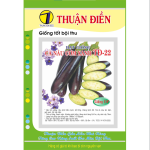 Hạt Giống Cà Nâu Cơm Xanh Thuận Điền 22