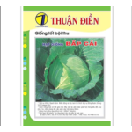 Hạt Giống Bắp Cải Chịu Nhiệt