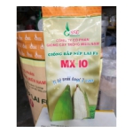 HẠT GIỐNG NGÔ NẾP LAI F1 MX10