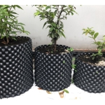 BẦU ƯƠM CÂY THÔNG MINH WINPOT 0.6mm