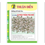 Hạt Giống Cà Pháo Trắng Trái Nhỏ Thuận Điền
