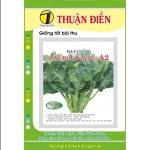 HẠT GIỐNG CẢI RỔ THUẬN ĐIỀN