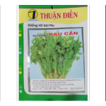 HẠT GIỐNG RAU CẦN TÀU ( CẦN TÂY ) THUẬN ĐIỀN