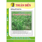 HẠT GIỐNG CỎ GHINE (CỎ SẢ LÁ LỚN) THUẬN ĐIỀN
