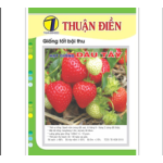 Hạt Giống Dâu Tây