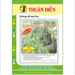 Bí Đỏ Đậu Lai F1 - TĐ 999