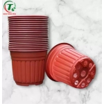 CHẬU NHỰA TÂN TƯỜNG KHANG