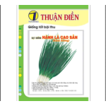 HẠT GIỐNG HÀNH LÁ CAO SẢN GỐC TRẮNG THUẬN ĐIỀN