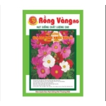 Hoa sao nháy nhiều màu ( số 21 )