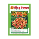 Hoa Cúc Công Chúa nhiều màu ( số 32 )