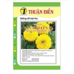 HẠT GIỐNG HOA VẠN THỌ LÙN F1 915