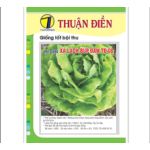 HẠT GIỐNG XÀ LÁCH BÚP ĐĂM THUẬN ĐIỀN