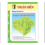 HẠT GIỐNG XÀ LÁCH DÚN VÀNG THUẬN ĐIỀN