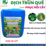 DỊCH TRÙN QUẾ CHUYÊN PHỤC HỒI CÂY, KÍCH THÍCH RA RỄ MỚI CAN 10 LÍT