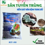SĂN TUYẾN TRÙNG-MEN VI SINH TRICHODERMA CHUYÊN KIỂM SOÁT NẤM BỆNH, TUYẾN TRÙNG TRONG ĐẤT