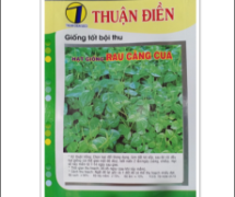 Mách bạn địa chỉ phân phối hạt giống rau ăn lá chất lượng cao