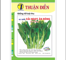 Vật tư khác
