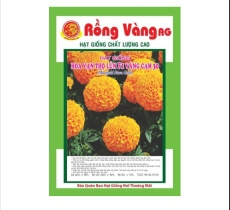 Vật tư khác