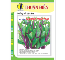 Vật tư khác