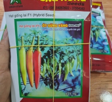 Vật tư khác