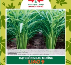 Vật tư khác