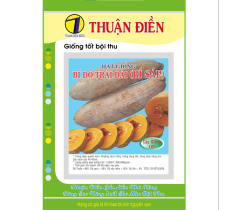 HẠT GIỐNG BÍ ĐỎ TRÁI DÀI OP (BÍ SÁP) THUẬN ĐIỀN