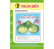HẠT GIỐNG CÀ DĨA SỌC XANH (CÀ DA ẾCH) THUẦN ĐIỀN