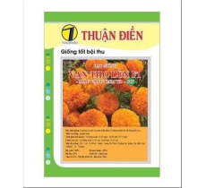 HẠT GIỐNG HOA VẠN THỌ LÙN F1 917