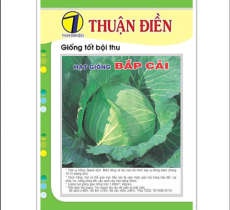 Hạt Giống Bắp Cải Chịu Nhiệt