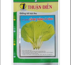 HẠT GIỐNG CẢI BẸ TRẮNG LÁ VÀNG
