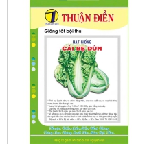HẠT GIỐNG CẢI BẸ DÚN THUẬN ĐIỀN 