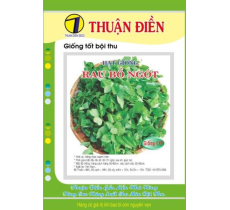 HẠT GIỐNG RAU BỒ NGÓT THUẬN ĐIỀN