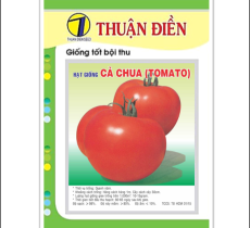 HẠT GIỐNG CÀ CHUA (TOMATO) THUẬN ĐIỀN