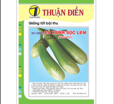 Hạt Giống Cà Xanh Sọc Lem ( Trái Dài )