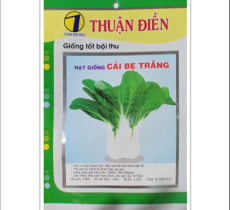 HẠT GIỐNG CẢI BẸ TRẮNG THUẬN ĐIỀN