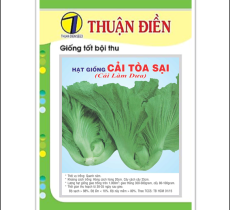 HẠT GIỐNG CẢI TÒA SẠI (CẢI LÀM DƯA)