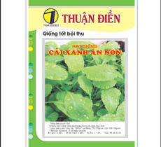 HẠT GIỐNG CẢI XANH ĂN NON THUẬN ĐIỀN