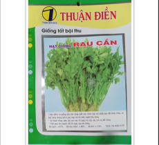 HẠT GIỐNG RAU CẦN TÀU ( CẦN TÂY ) THUẬN ĐIỀN