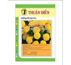 HẠT GIỐNG VẠN THỌ MÀU VÀNG CHANH F1 440