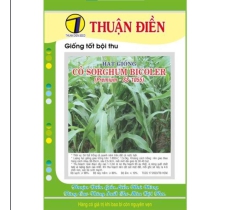 HẠT GIỐNG CỎ SORGHUM BICOLER (CỎ BẮP) THUẬN ĐIỀN 