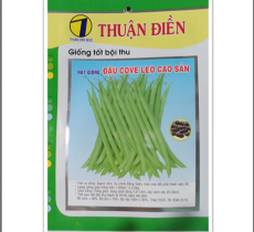Hạt Giống Đậu Que Hạt Đen Trái Xanh