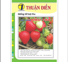 Hạt Giống Dâu Tây