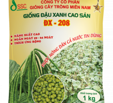 Hạt Giống Đậu xanh CX-208