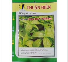HẠT GIỐNG RAU ĐAY TRẮNG (XANH) THUẬN ĐIỀN