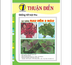 HẠT GIỐNG RAU DỀN 3 MÀU THUẬN ĐIỀN