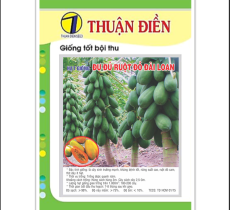 Hạt Giống Đu Đủ Ruột Đỏ